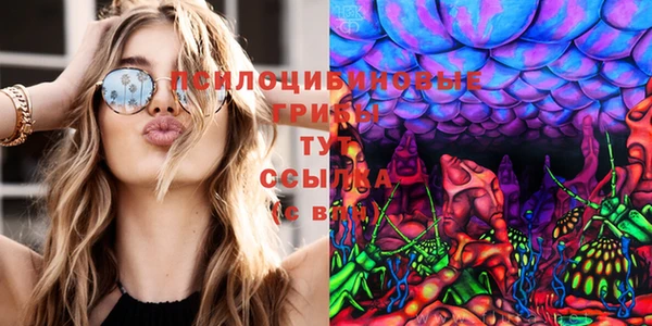кокс Дмитров