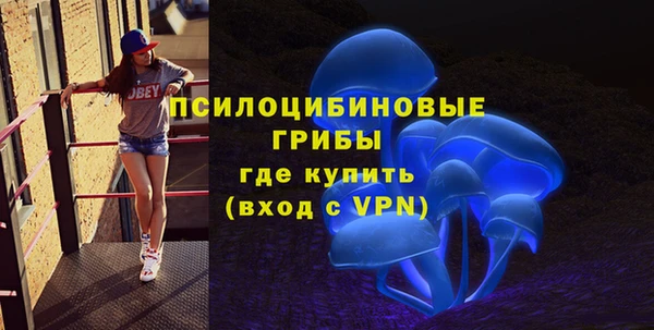 ALPHA-PVP Дмитриев