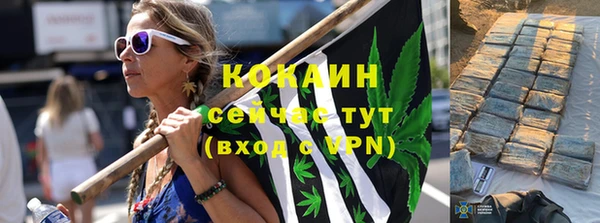 кокс Дмитров