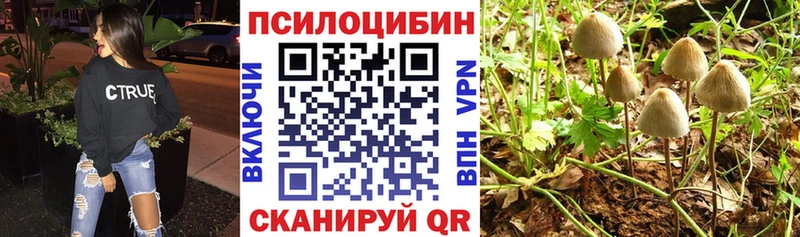 Псилоцибиновые грибы прущие грибы  Купить где  Беломорск 