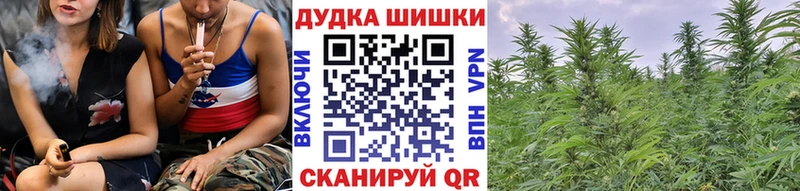 Купить  Беломорск  Каннабис OG Kush 